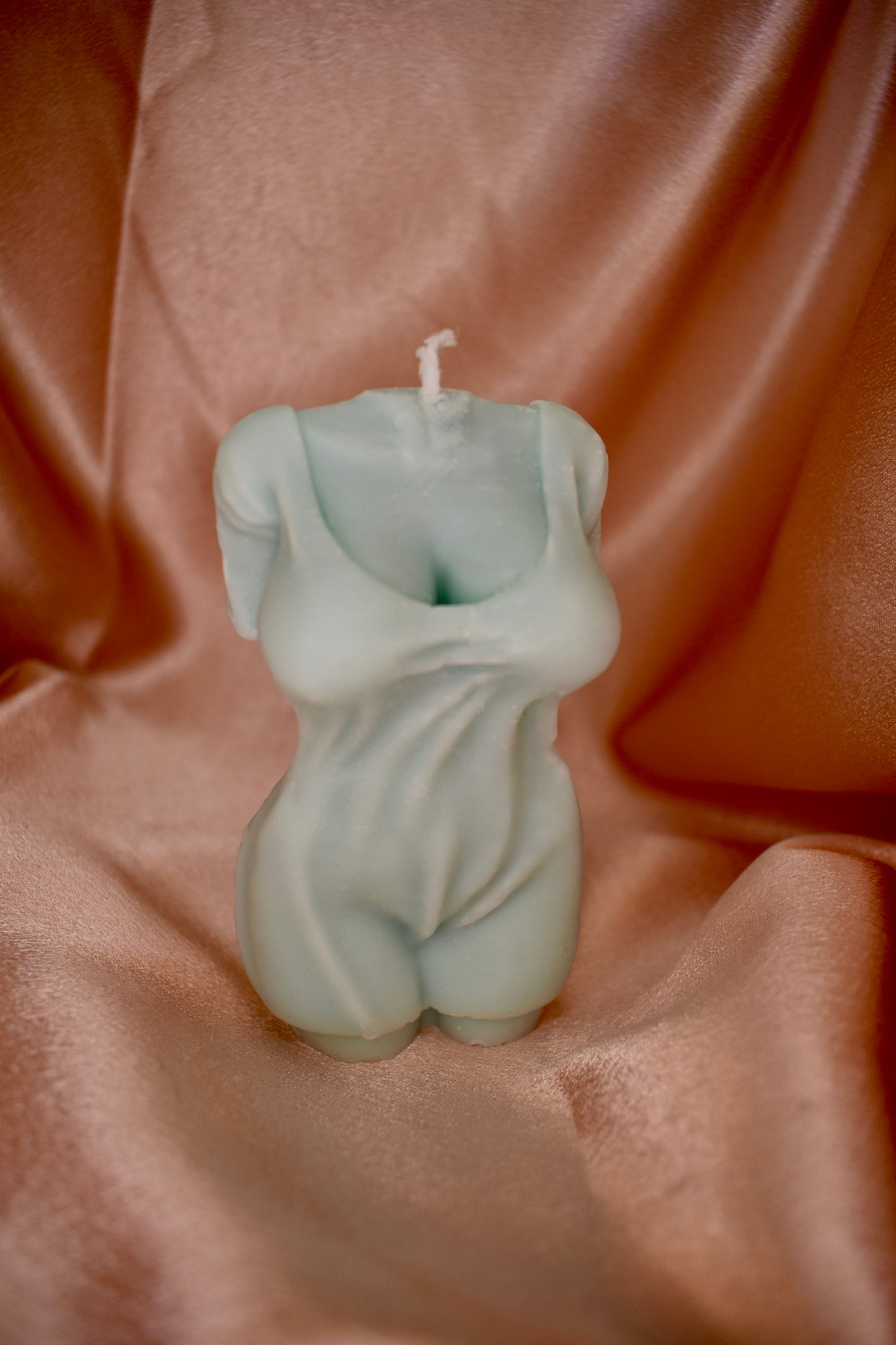 Eleganter Frauen Torso